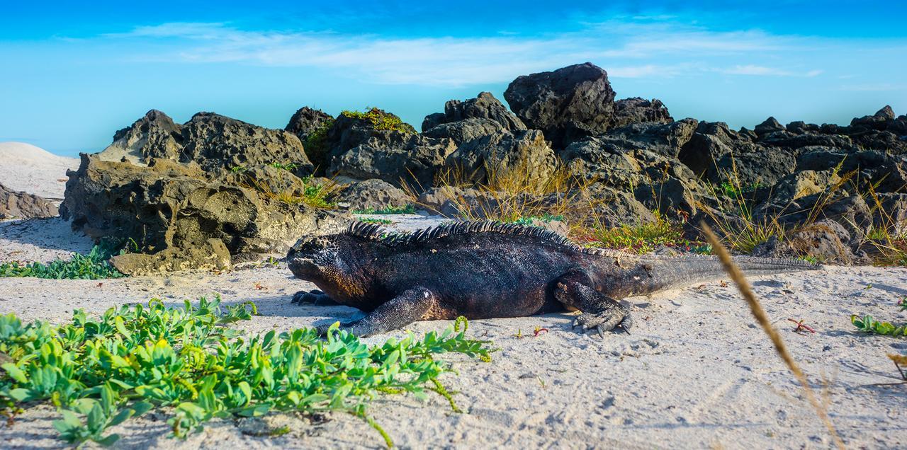 Bluebay Galapagos Planet Hotel Puerto Baquerizo Moreno Luaran gambar
